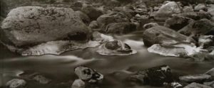 Merced River Ice, North side. Yosemite National Park. 8x20 Carbon Transfer Print.